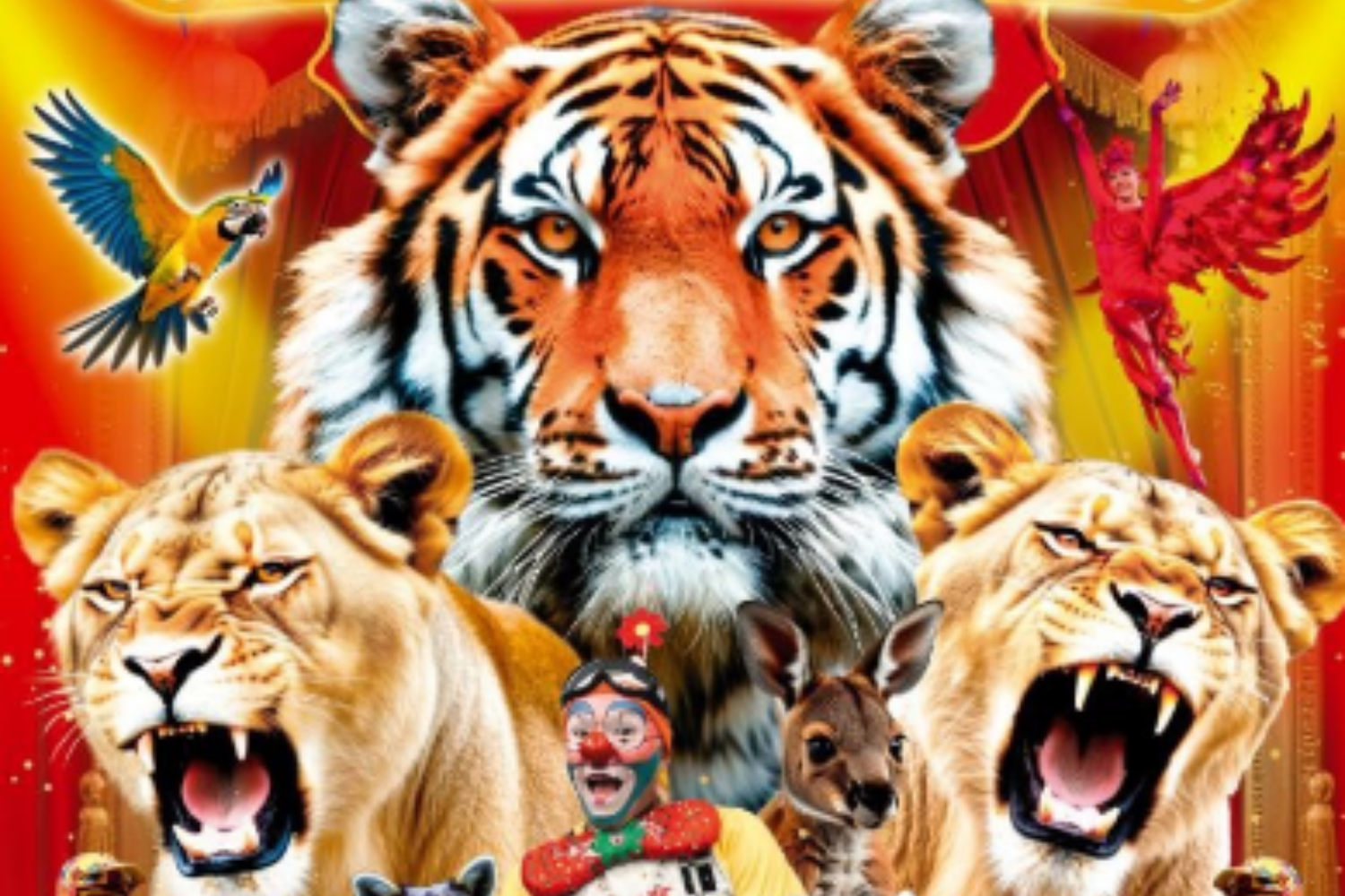 Золото Африки. Тигры среди львиц